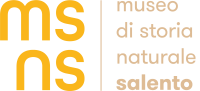 MUSEO DI STORIA NATURALE SALENTO